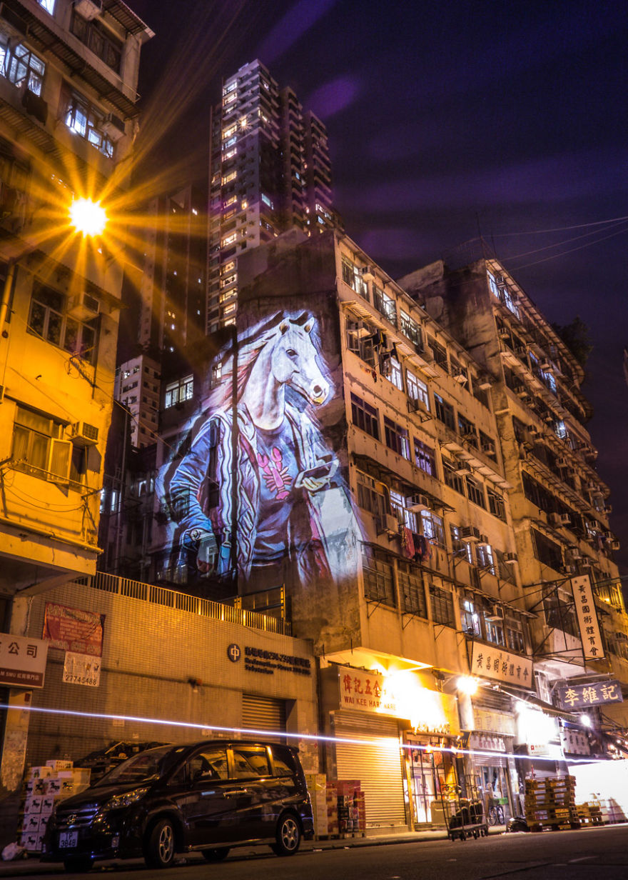 Safari Urbain – Hk Zoodiac Series Safari Urbain – Hk Zoodiac Series