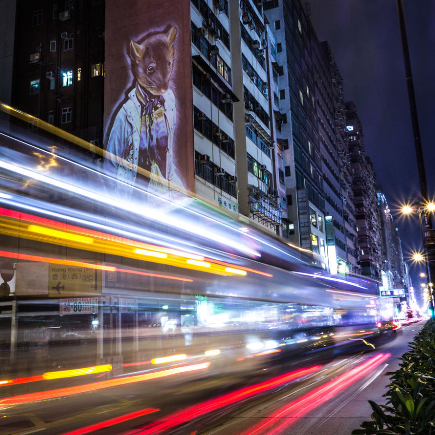 Safari Urbain – Hk Zoodiac Series Safari Urbain – Hk Zoodiac Series