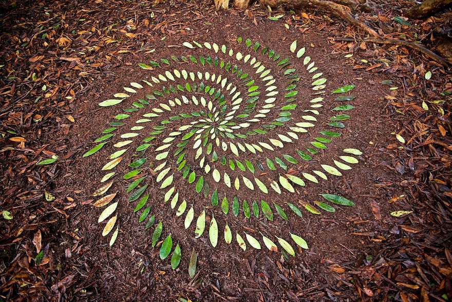 Artist Spends Hours Arranging Natural Objects Into Stunning Mandalas, Leaves Them For You To Find