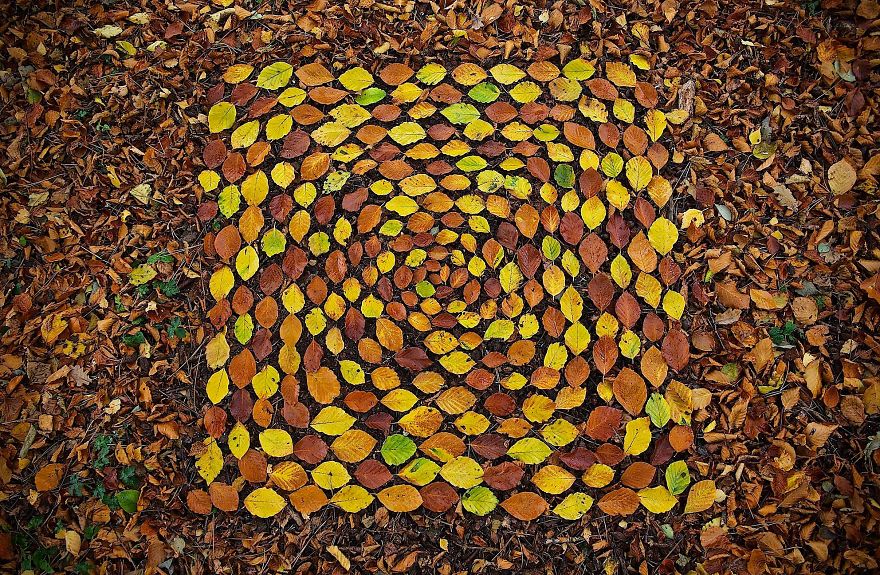 Artist Spends Hours Arranging Natural Objects Into Stunning Mandalas, Leaves Them For You To Find
