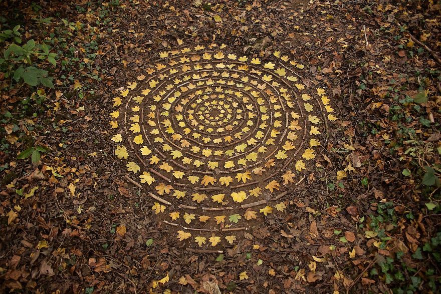 Artist Spends Hours Arranging Natural Objects Into Stunning Mandalas, Leaves Them For You To Find