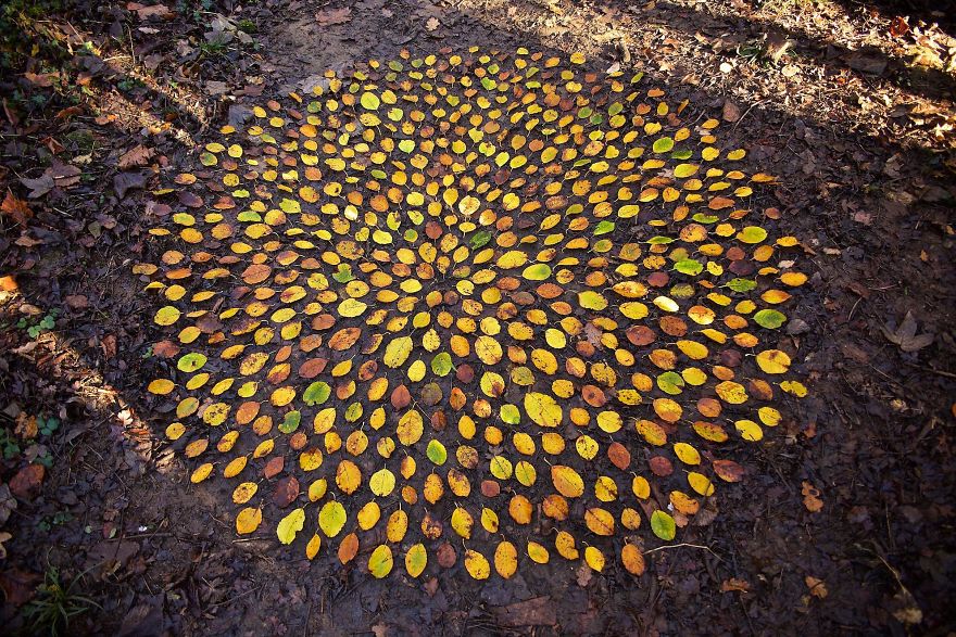 Artist Spends Hours Arranging Natural Objects Into Stunning Mandalas, Leaves Them For You To Find