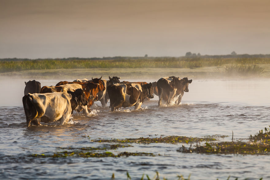 10 Years Travelling Across Poland To Catch The Most Beautiful Places 10 Years Travelling Across Poland To Catch The Most Beautiful Places