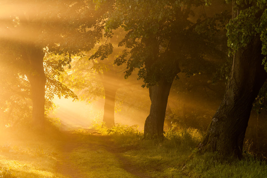 10 Years Travelling Across Poland To Catch The Most Beautiful Places 10 Years Travelling Across Poland To Catch The Most Beautiful Places