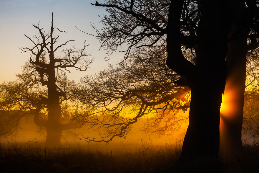 10 Years Travelling Across Poland To Catch The Most Beautiful Places 10 Years Travelling Across Poland To Catch The Most Beautiful Places