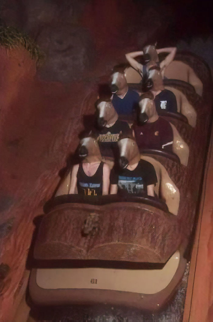 30 Rollercoaster Photos That Will Make You Die From Laughter