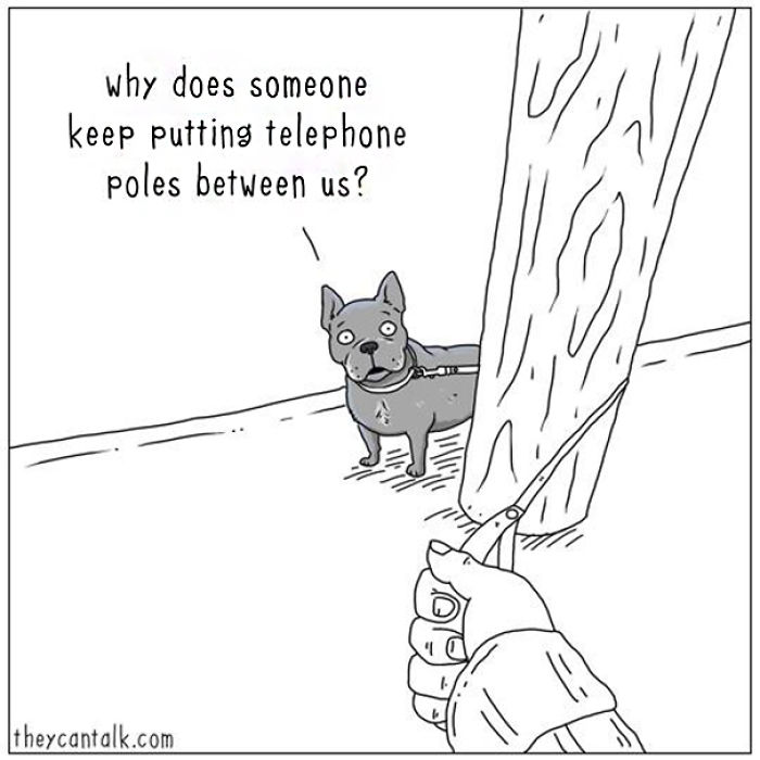 31 Differences Between Cats And Dogs That Are Impossible Not To Laugh At