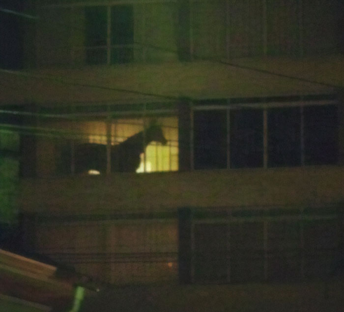 287 ‘Hmmm’ Photos That Raise More Questions Than They Will Answer 287 ‘Hmmm’ Photos That Raise More Questions Than They Will Answer