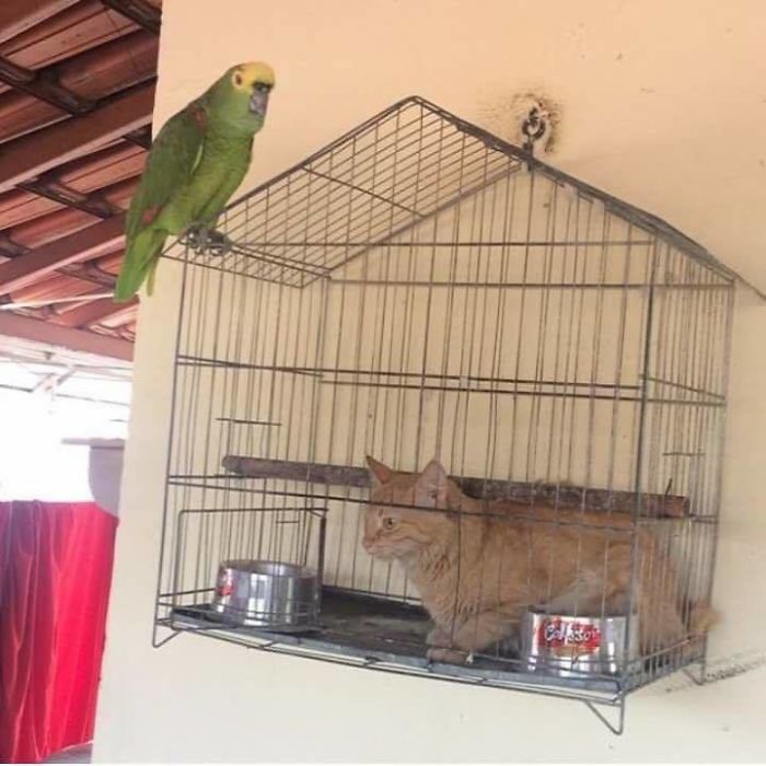 287 ‘Hmmm’ Photos That Raise More Questions Than They Will Answer 287 ‘Hmmm’ Photos That Raise More Questions Than They Will Answer