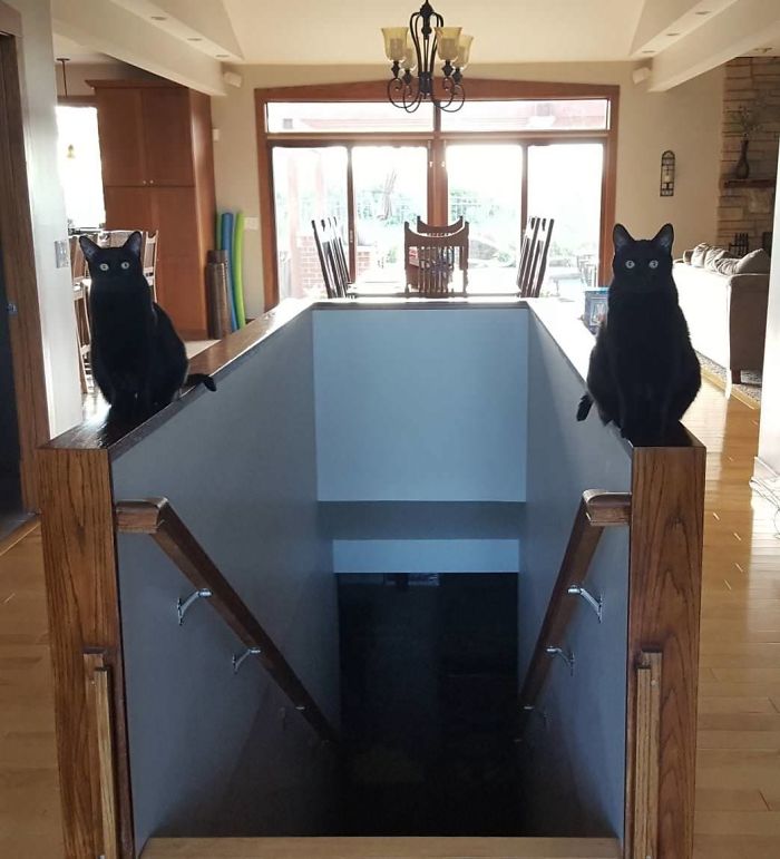 287 ‘Hmmm’ Photos That Raise More Questions Than They Will Answer 287 ‘Hmmm’ Photos That Raise More Questions Than They Will Answer