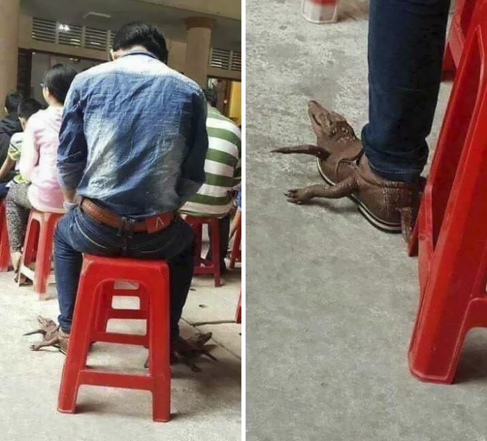 287 ‘Hmmm’ Photos That Raise More Questions Than They Will Answer 287 ‘Hmmm’ Photos That Raise More Questions Than They Will Answer