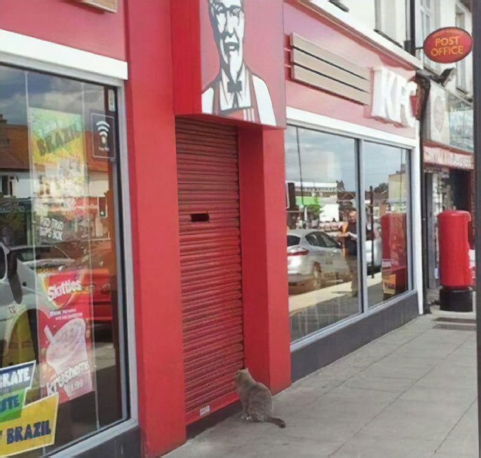 287 ‘Hmmm’ Photos That Raise More Questions Than They Will Answer 287 ‘Hmmm’ Photos That Raise More Questions Than They Will Answer