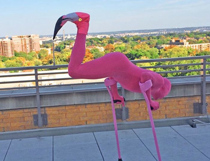 287 ‘Hmmm’ Photos That Raise More Questions Than They Will Answer 287 ‘Hmmm’ Photos That Raise More Questions Than They Will Answer