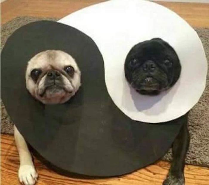 287 ‘Hmmm’ Photos That Raise More Questions Than They Will Answer 287 ‘Hmmm’ Photos That Raise More Questions Than They Will Answer