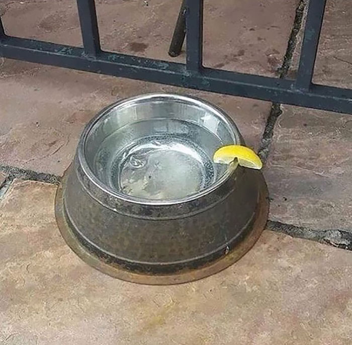 287 ‘Hmmm’ Photos That Raise More Questions Than They Will Answer 287 ‘Hmmm’ Photos That Raise More Questions Than They Will Answer