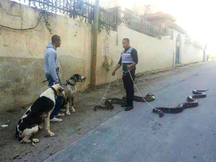 287 ‘Hmmm’ Photos That Raise More Questions Than They Will Answer 287 ‘Hmmm’ Photos That Raise More Questions Than They Will Answer