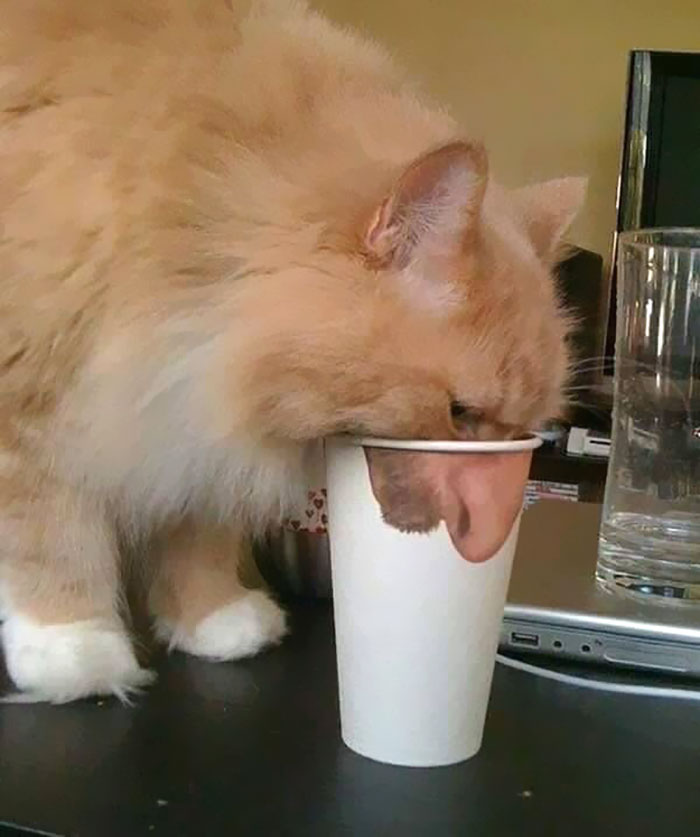 287 ‘Hmmm’ Photos That Raise More Questions Than They Will Answer 287 ‘Hmmm’ Photos That Raise More Questions Than They Will Answer