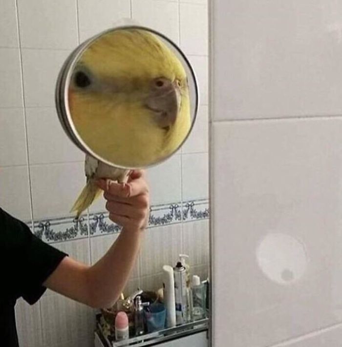 287 ‘Hmmm’ Photos That Raise More Questions Than They Will Answer 287 ‘Hmmm’ Photos That Raise More Questions Than They Will Answer