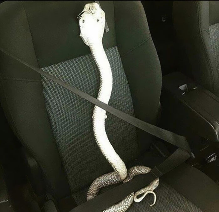 287 ‘Hmmm’ Photos That Raise More Questions Than They Will Answer 287 ‘Hmmm’ Photos That Raise More Questions Than They Will Answer