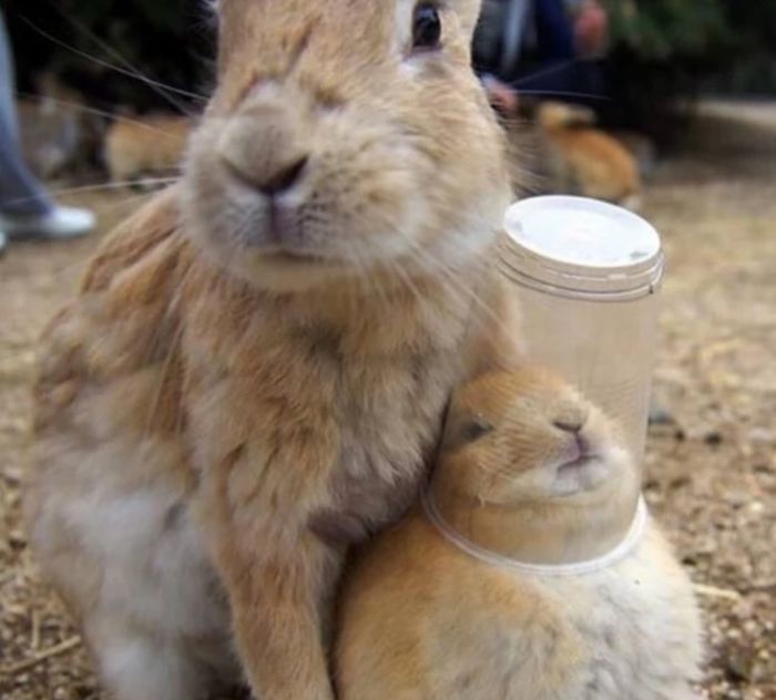 287 ‘Hmmm’ Photos That Raise More Questions Than They Will Answer 287 ‘Hmmm’ Photos That Raise More Questions Than They Will Answer