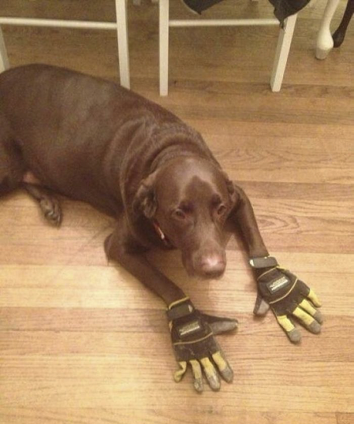 287 ‘Hmmm’ Photos That Raise More Questions Than They Will Answer 287 ‘Hmmm’ Photos That Raise More Questions Than They Will Answer