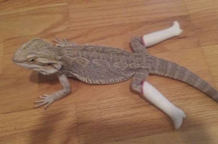 287 ‘Hmmm’ Photos That Raise More Questions Than They Will Answer 287 ‘Hmmm’ Photos That Raise More Questions Than They Will Answer