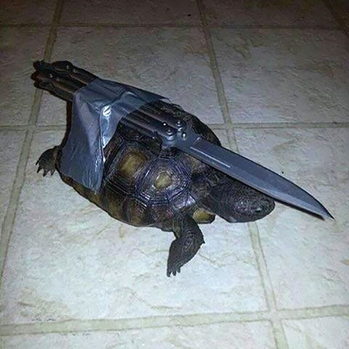 287 ‘Hmmm’ Photos That Raise More Questions Than They Will Answer 287 ‘Hmmm’ Photos That Raise More Questions Than They Will Answer