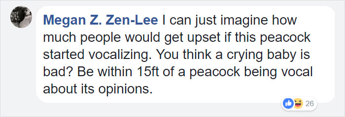 Giant Emotional Support Peacock Denied Seat On Flight, And Here’s How Internet Reacts