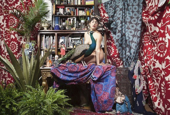 Giant Emotional Support Peacock Denied Seat On Flight, And Here’s How Internet Reacts