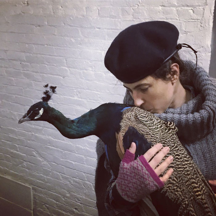 Giant Emotional Support Peacock Denied Seat On Flight, And Here’s How Internet Reacts