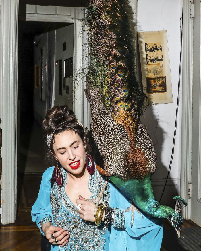 Giant Emotional Support Peacock Denied Seat On Flight, And Here’s How Internet Reacts