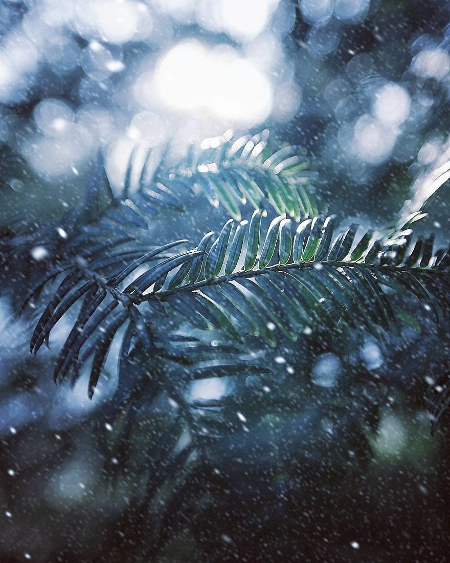 Hi I&#8217;m Grace And I Paint With My Camera