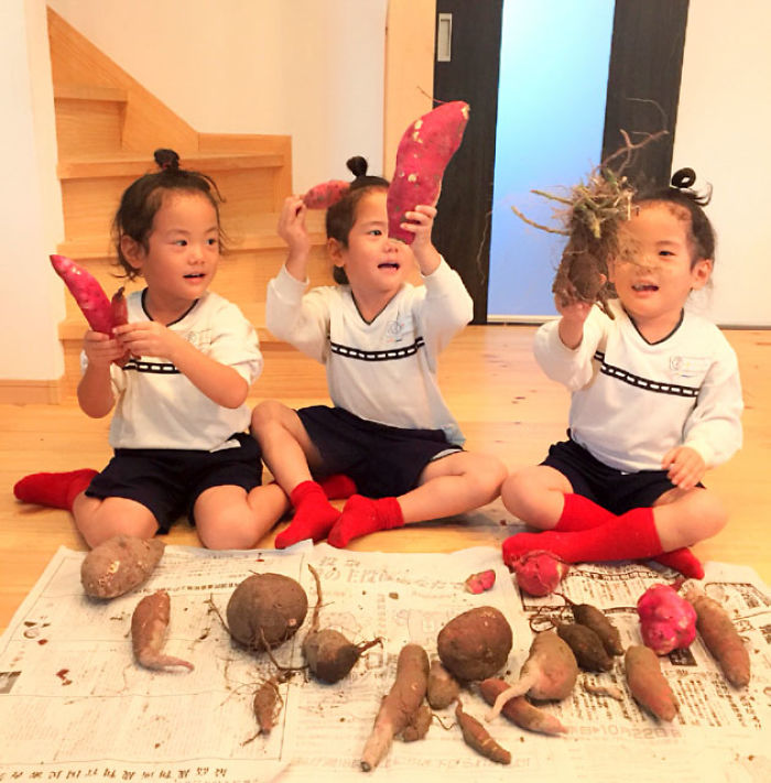 Japanese Mom Captures Her Life With Her Twins And Triplets And It’s Just Too Adorable Japanese Mom Captures Her Life With Her Twins And Triplets And It’s Just Too Adorable