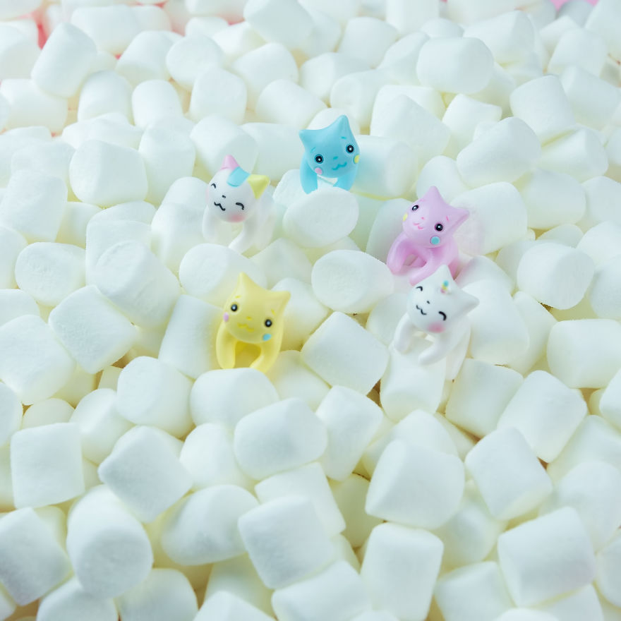 I Did New Cats Collection, But I’m Afraid That The Result Is Too Cute! I Did New Cats Collection, But I’m Afraid That The Result Is Too Cute!