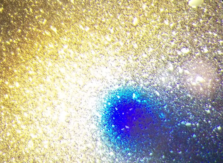 I Find Cosmos Under My Microscope And With Microbial Plate – Microsmos I Find Cosmos Under My Microscope And With Microbial Plate – Microsmos