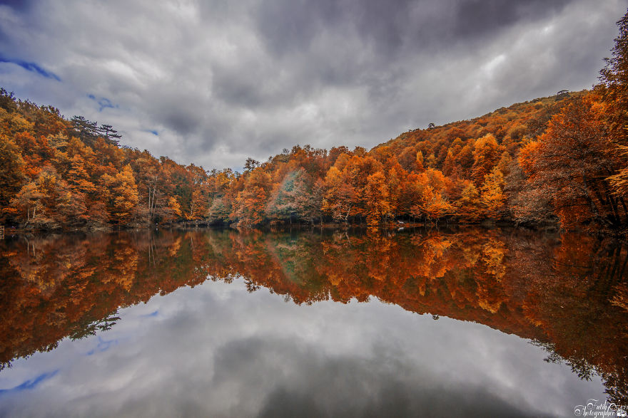 Autumn Tones From Turkey Autumn Tones From Turkey