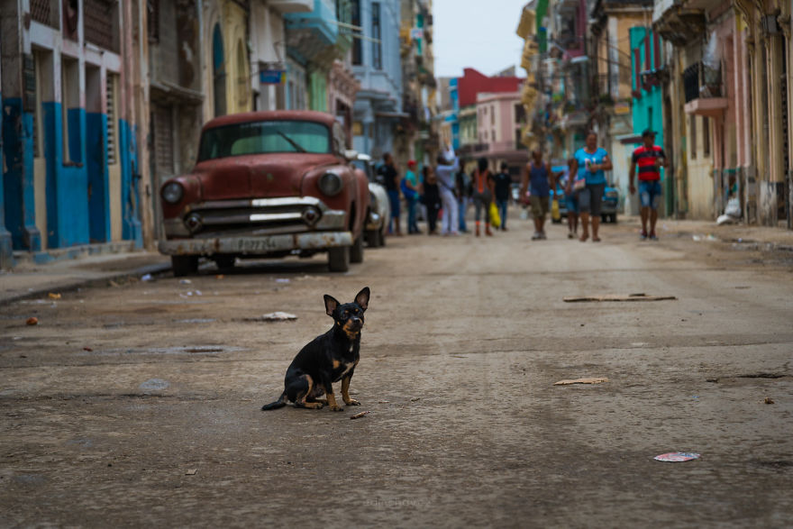 40 Photos Of Cuba That Will Make You Want To Visit 40 Photos Of Cuba That Will Make You Want To Visit
