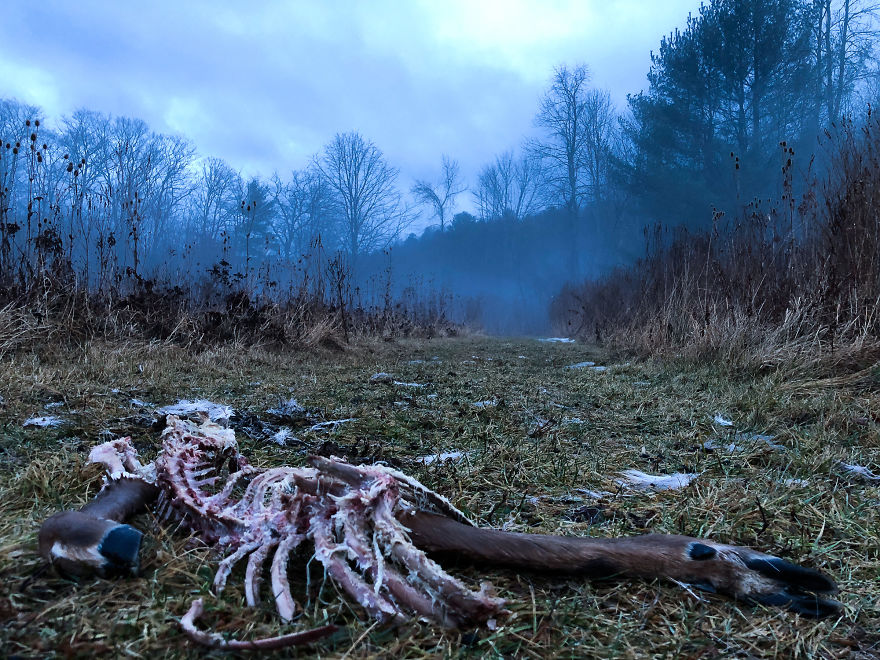 I Wanted To See What&#8217;s Capable With An Iphone X Camera