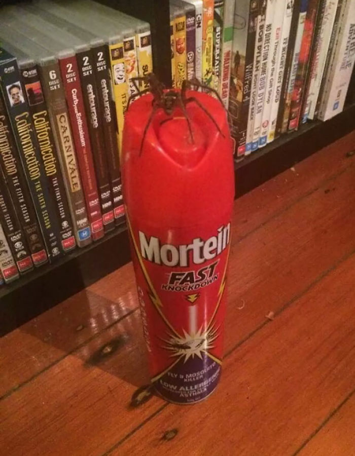 50 Photos Of People Having A Worse Day Than You 50 Photos Of People Having A Worse Day Than You