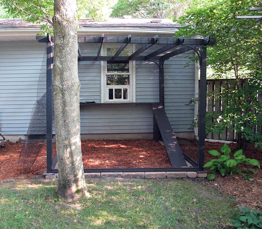 We Built A Beautiful Garden Catio For Our Formerly-Blind Bengal We Built A Beautiful Garden Catio For Our Formerly-Blind Bengal
