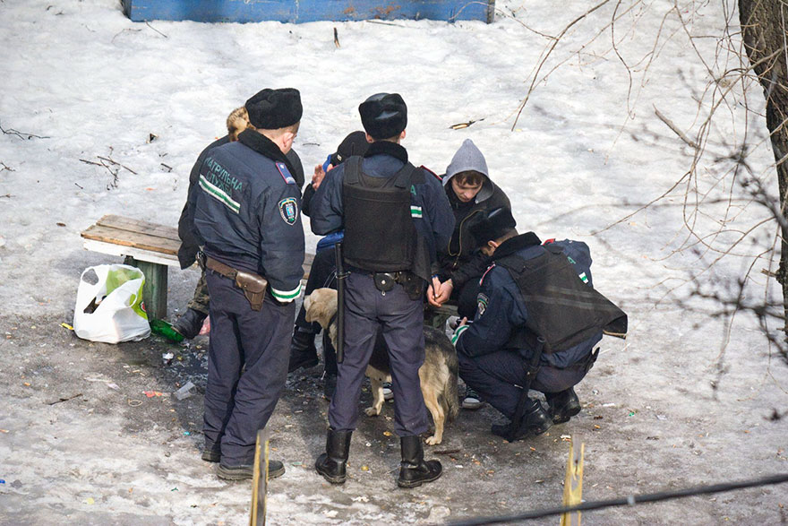 Photographer Spends 10 Years Photographing Same Bench, Captures More Than He Expects