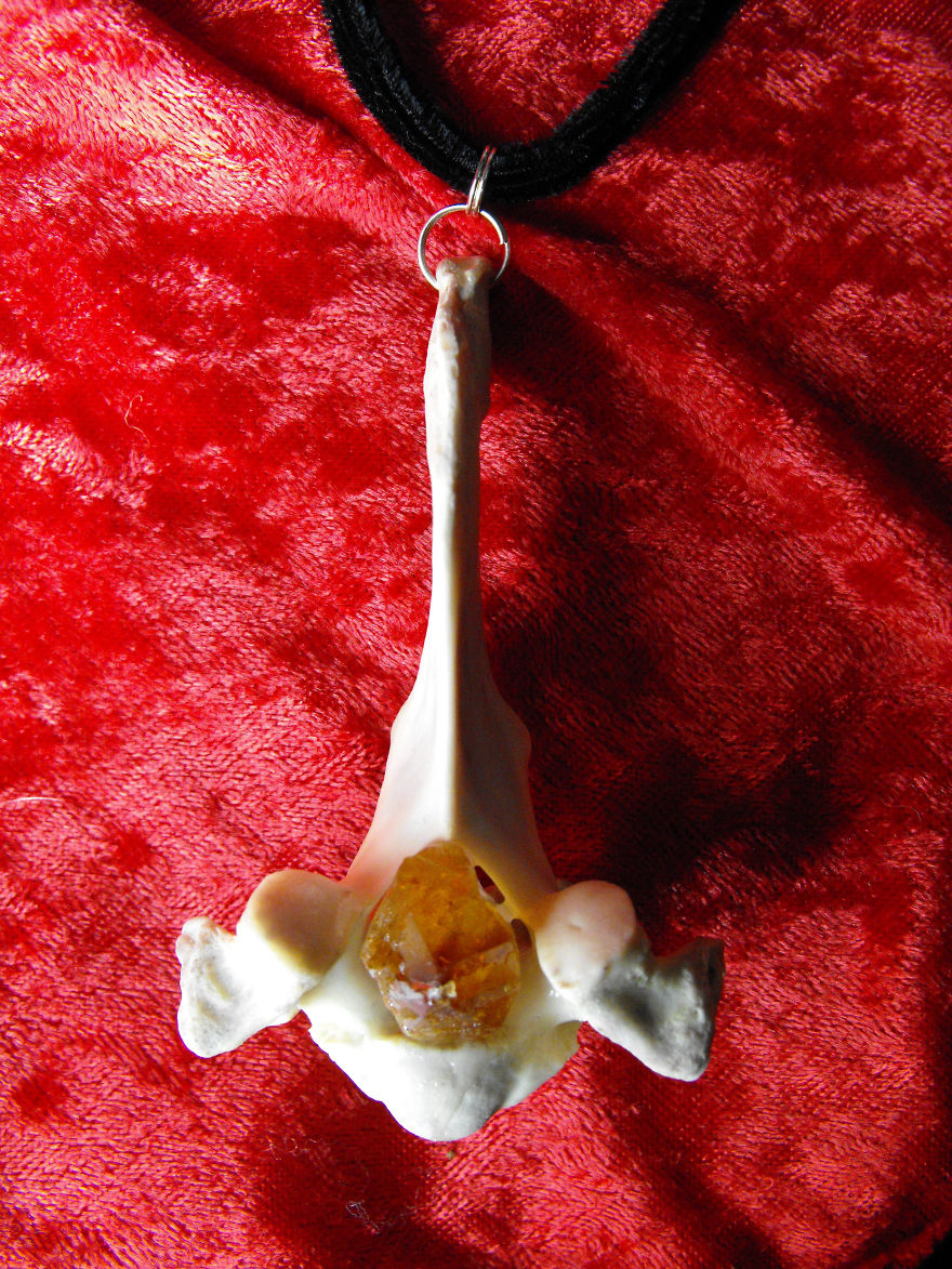 I Make Jewelry With Bones To Create Beauty From Decay, And To Memorialize The Animals They Came From