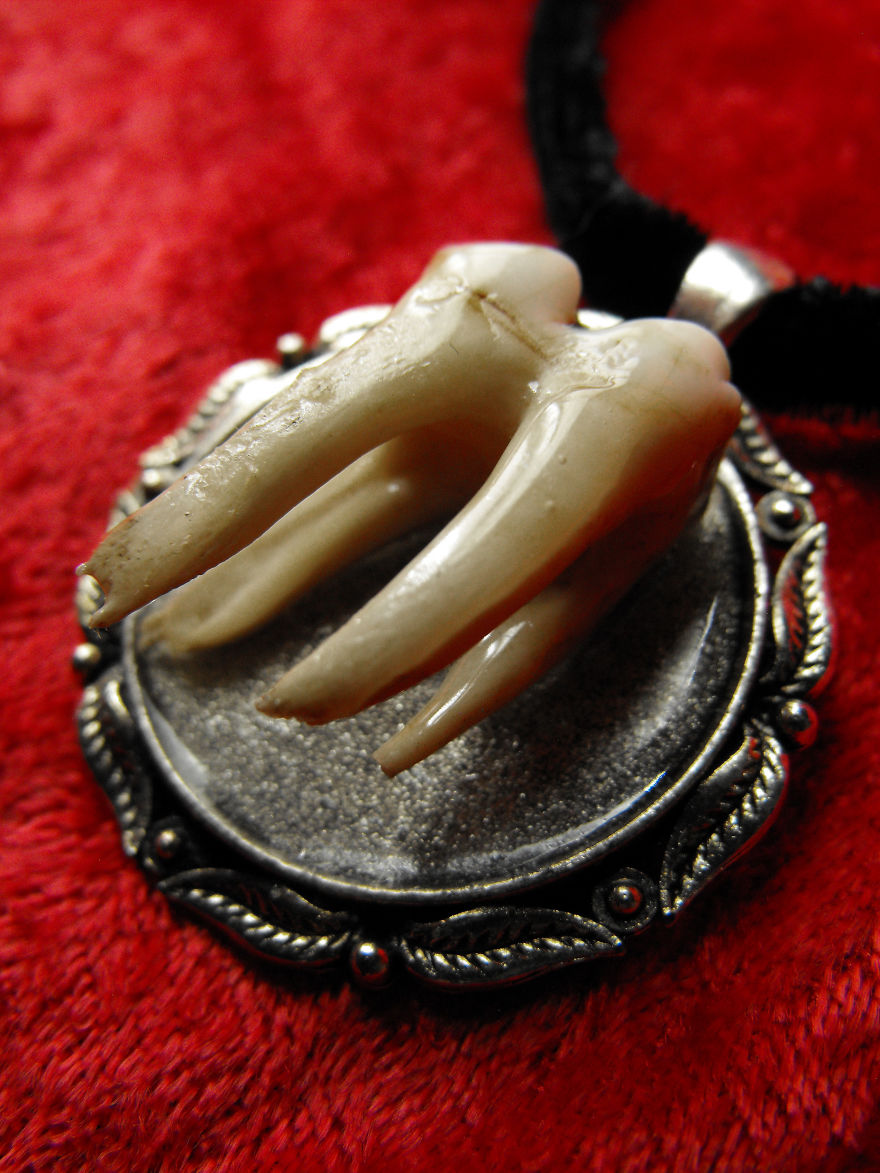 I Make Jewelry With Bones To Create Beauty From Decay, And To Memorialize The Animals They Came From