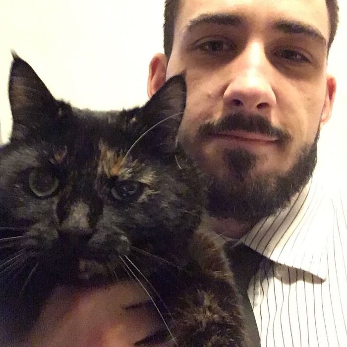 Cat Figures Out Owner Does Not Enjoy Her Live Gifts, Starts Bringing Giant Leaves Every Morning