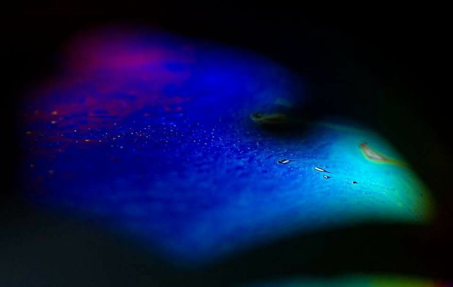 I Love The Colors Hidden In A Soap Bubbles. How Not To Get Bored In Winter? I Love The Colors Hidden In A Soap Bubbles. How Not To Get Bored In Winter?