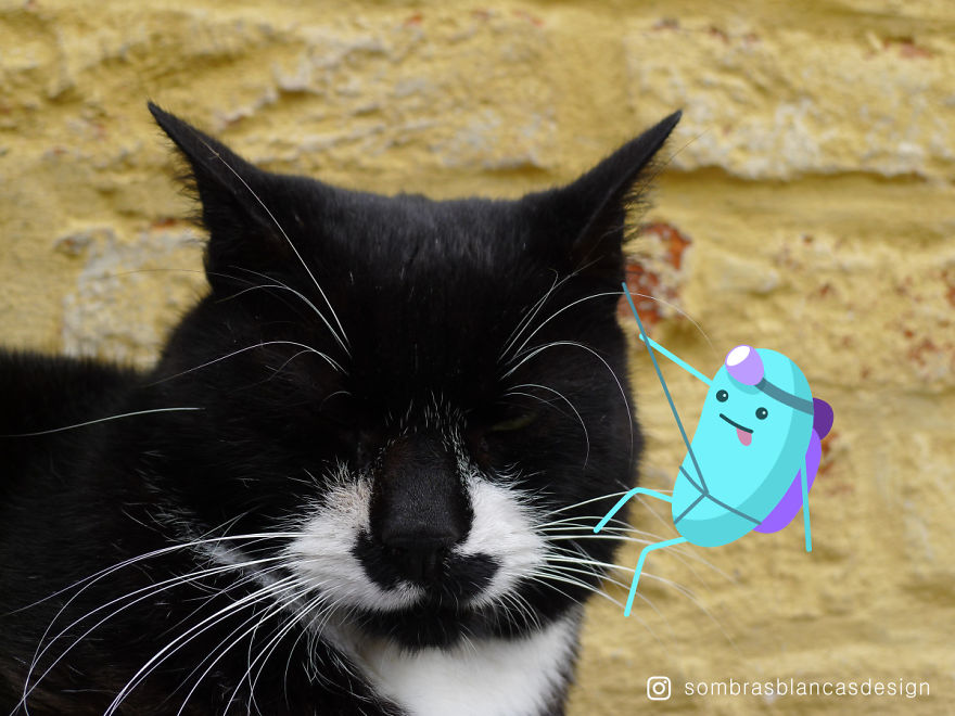 I Add Happy, Colorful Creatures To Everyday Life And Travel Photos I Add Happy, Colorful Creatures To Everyday Life And Travel Photos