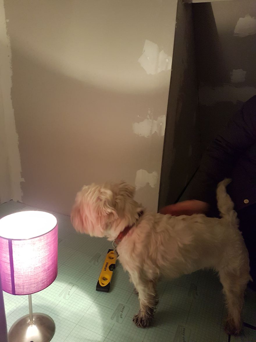 Our Dog Was Getting A Human Sister, So I Built Her A Room Under The Stairs &#8211; It Turned Out Better Than Expected