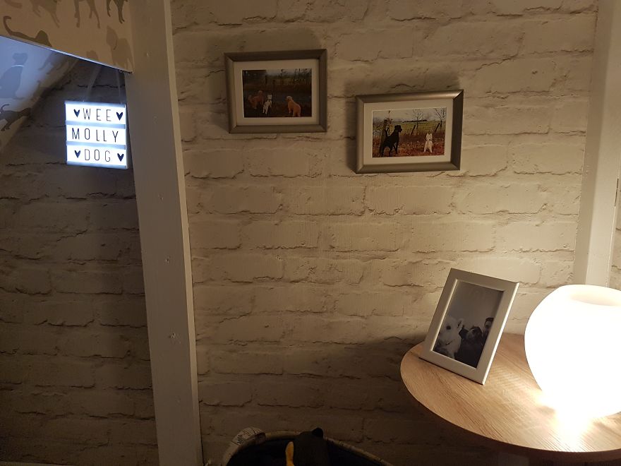 Our Dog Was Getting A Human Sister, So I Built Her A Room Under The Stairs &#8211; It Turned Out Better Than Expected