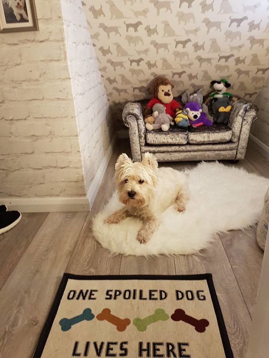 Our Dog Was Getting A Human Sister, So I Built Her A Room Under The Stairs &#8211; It Turned Out Better Than Expected