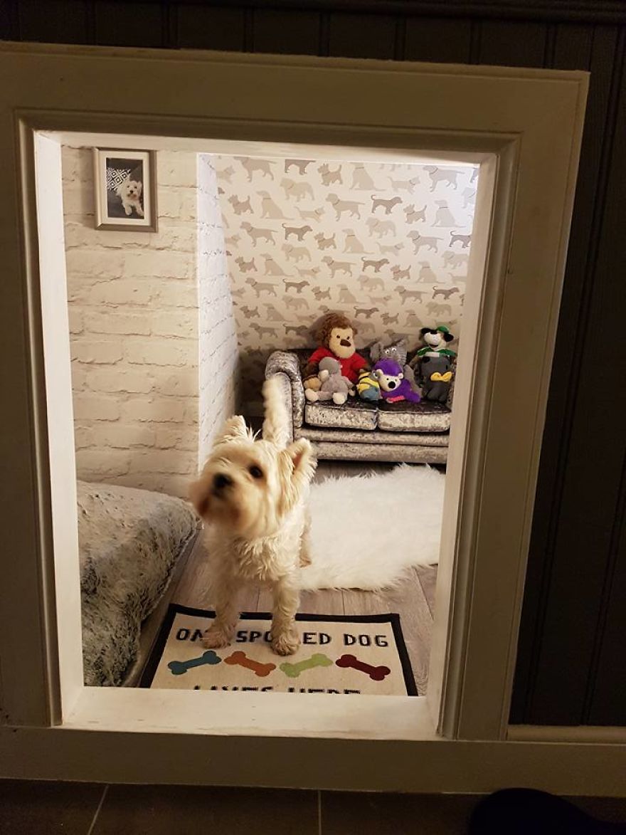 Our Dog Was Getting A Human Sister, So I Built Her A Room Under The Stairs &#8211; It Turned Out Better Than Expected